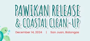 pawikan_release.jpg